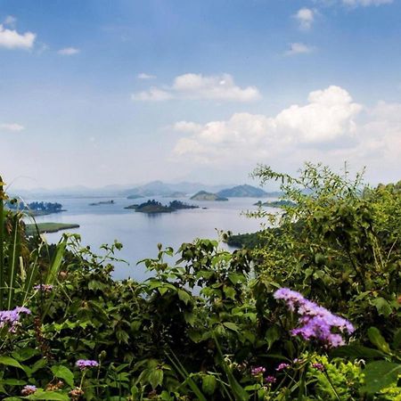 Chameleon Hill Forest Lodge Bwindi Impenetrable Park Buitenkant foto
