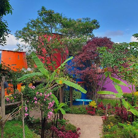 Chameleon Hill Forest Lodge Bwindi Impenetrable Park Buitenkant foto