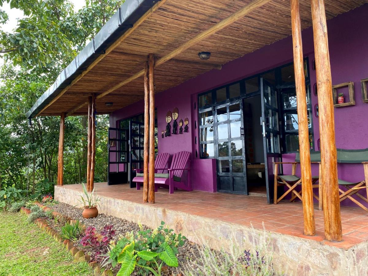 Chameleon Hill Forest Lodge Bwindi Impenetrable Park Buitenkant foto