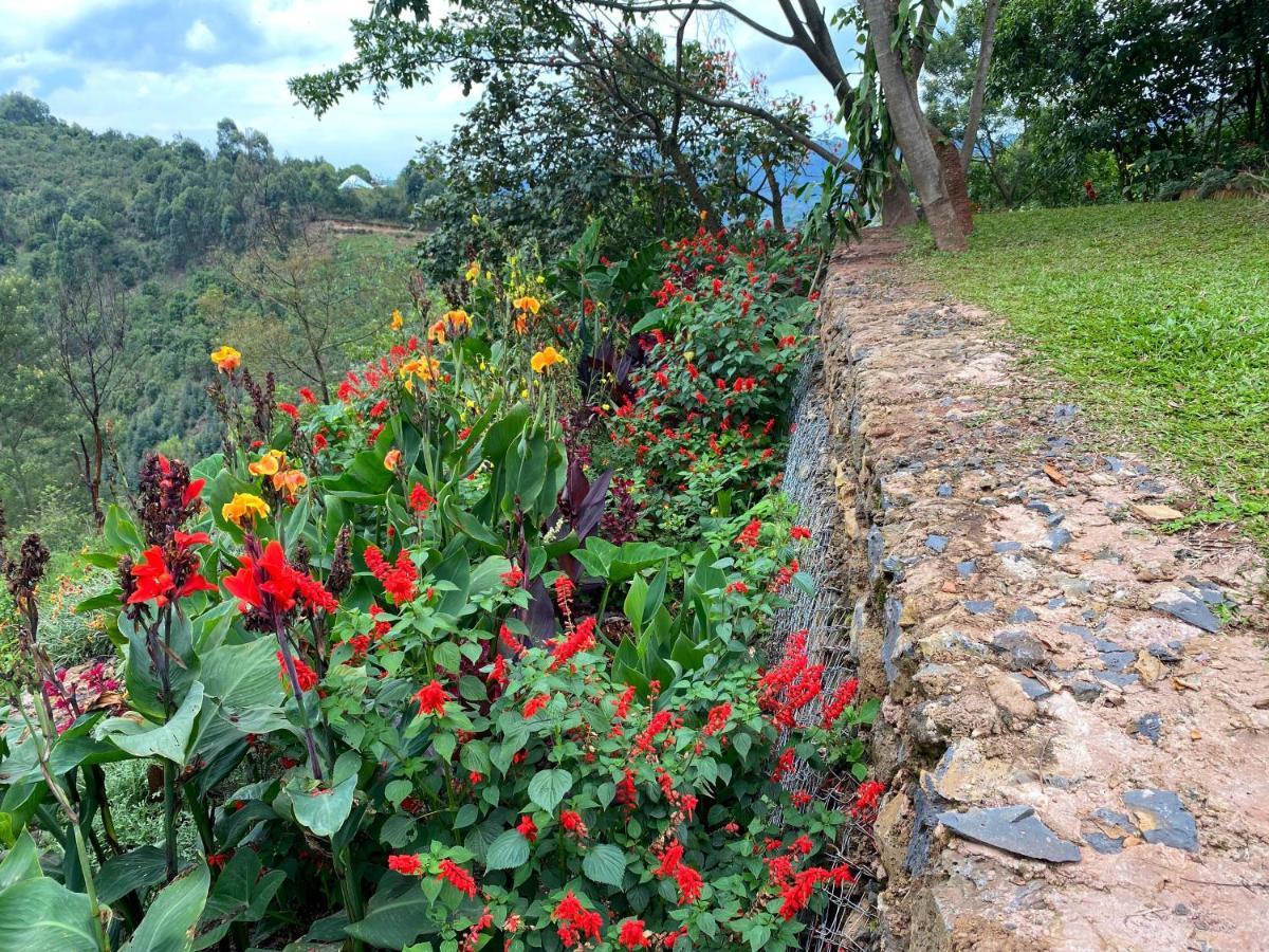 Chameleon Hill Forest Lodge Bwindi Impenetrable Park Buitenkant foto