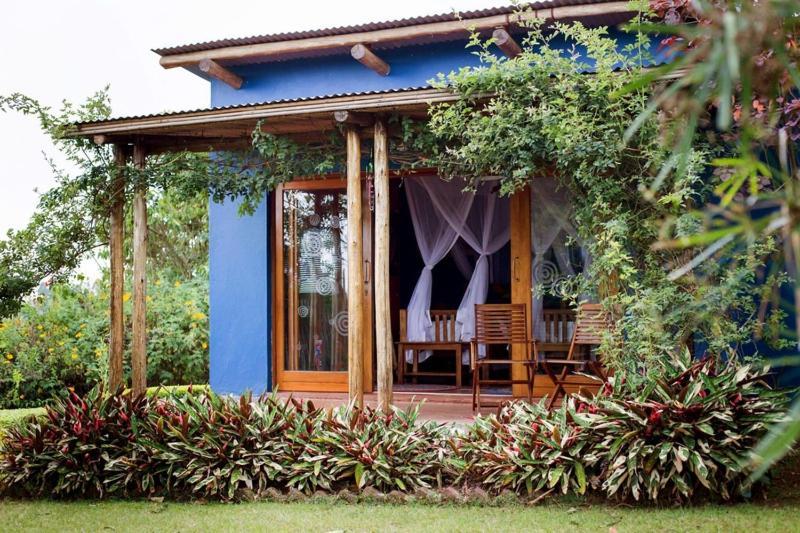 Chameleon Hill Forest Lodge Bwindi Impenetrable Park Buitenkant foto