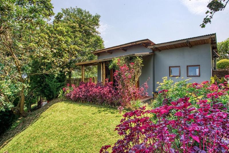 Chameleon Hill Forest Lodge Bwindi Impenetrable Park Buitenkant foto