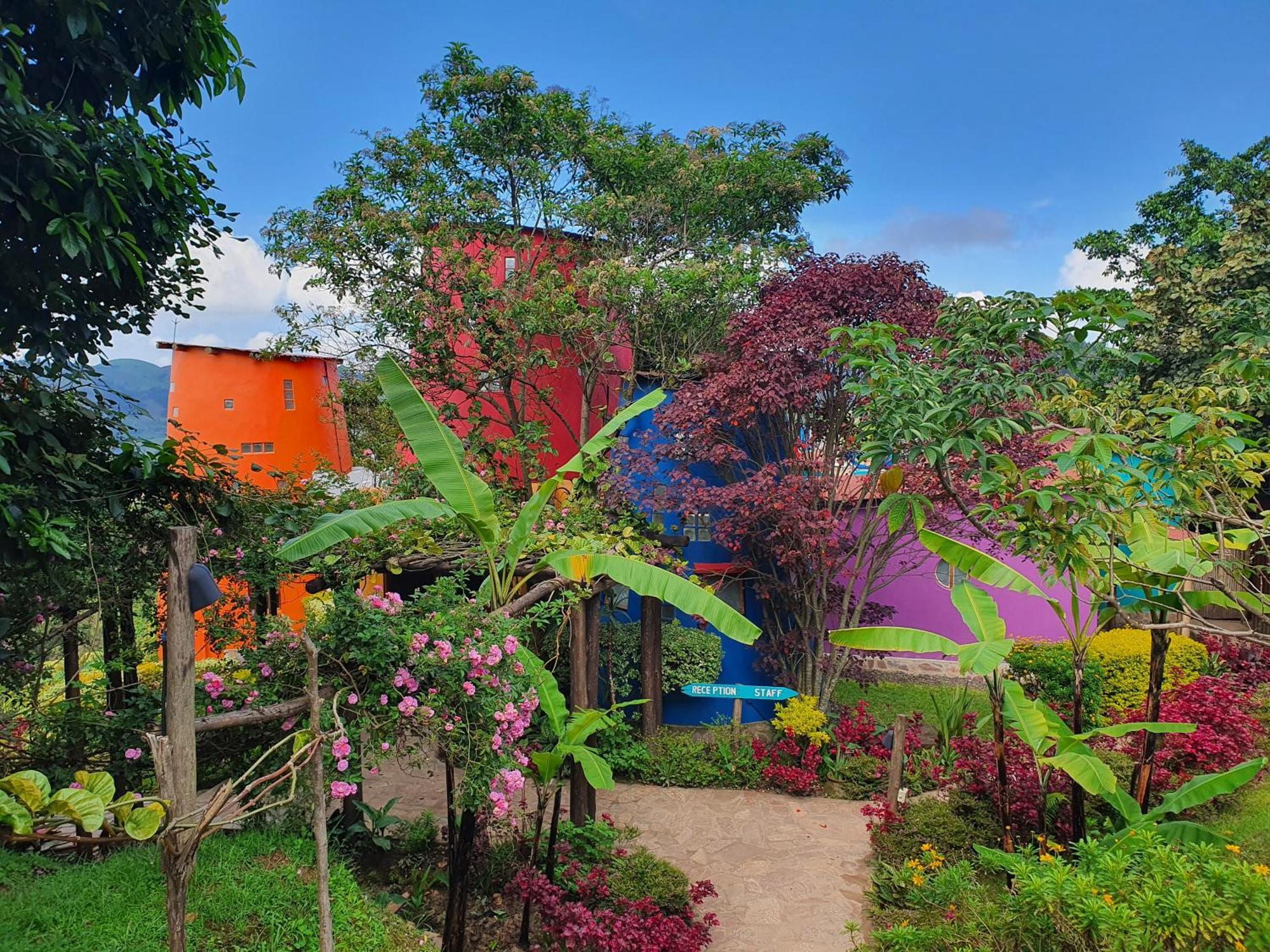 Chameleon Hill Forest Lodge Bwindi Impenetrable Park Buitenkant foto